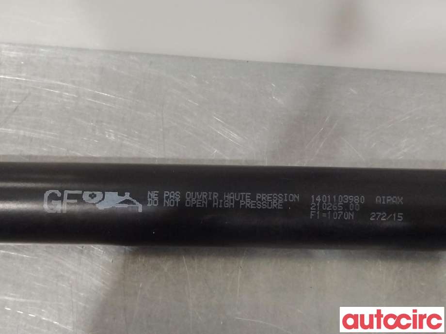 Baklukedemper til Peugeot Expert 2007-2016 (Type II)  (PEUGEOT|8731Q9|1401103980)