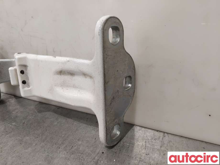 Hengsler til Ford Transit Connect 2018-->> Type II, Fase 2 (FORD|2168175||DT11V42982-AD)