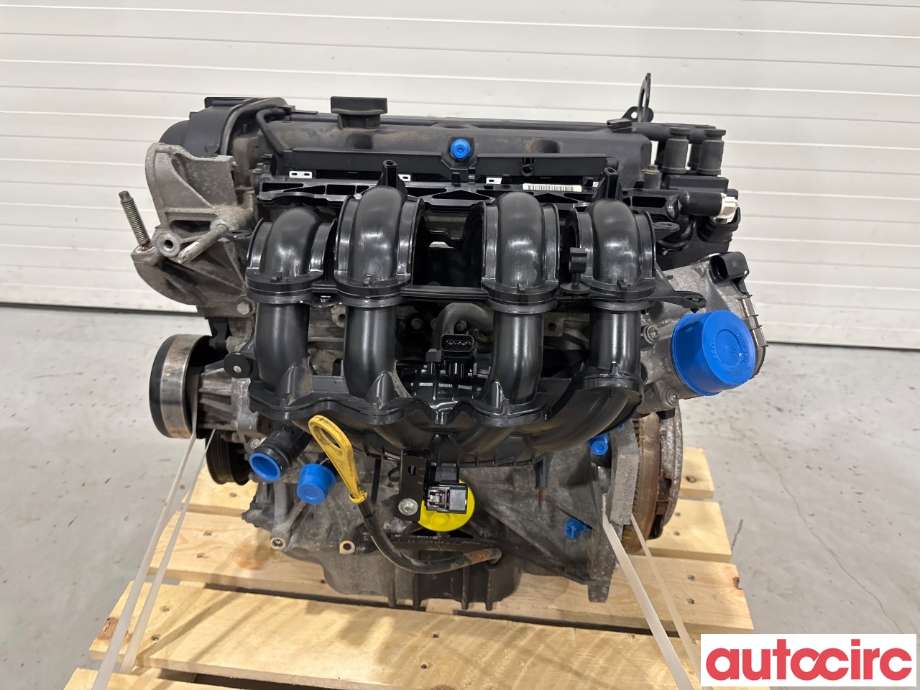 Motor bensin til Ford Fiesta 2008-2012 (Type VI, Fase 1)  (FORD|1713369|STJB|8A6G-6006-AB)