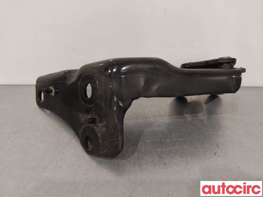 Hengsler til Citroën Berlingo 2015-2019 (Type II, Fase 2)  (CITROEN|9033Y9)