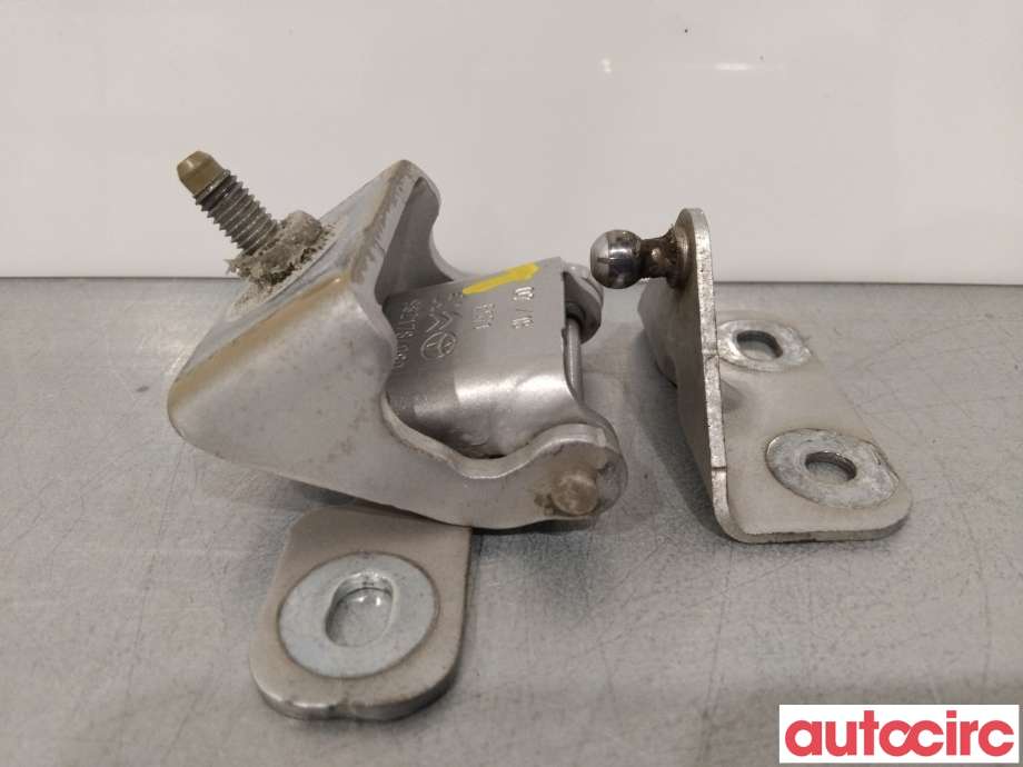 Hengsler til Peugeot Expert, 2016-->> (Type III)  (PEUGEOT|9811725780)
