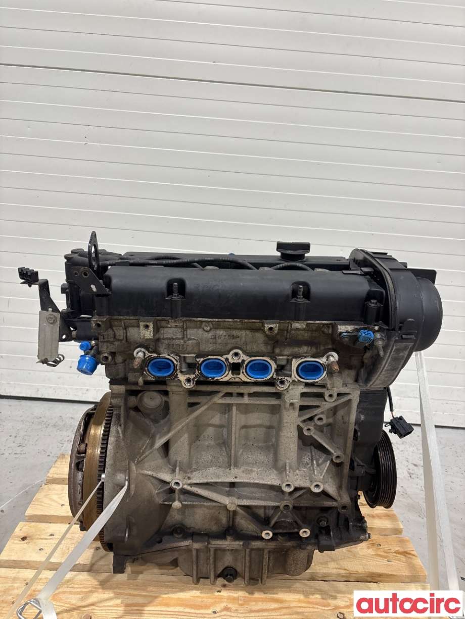 Motor bensin til Ford Fiesta 2008-2012 (Type VI, Fase 1) (FORD|1713369|STJB|8A6G-6006-AB)