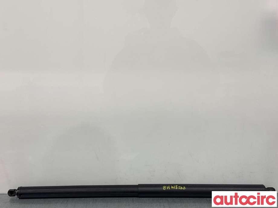 Baklukedemper til Tesla Model X 2016-->>  (TESLA|1065669-00-A|)