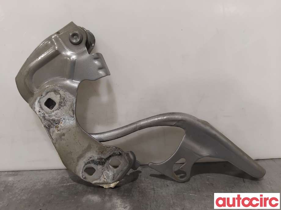 Panserhengsler til Fiat 500 2008-2020  (FIAT|68070290AB|)