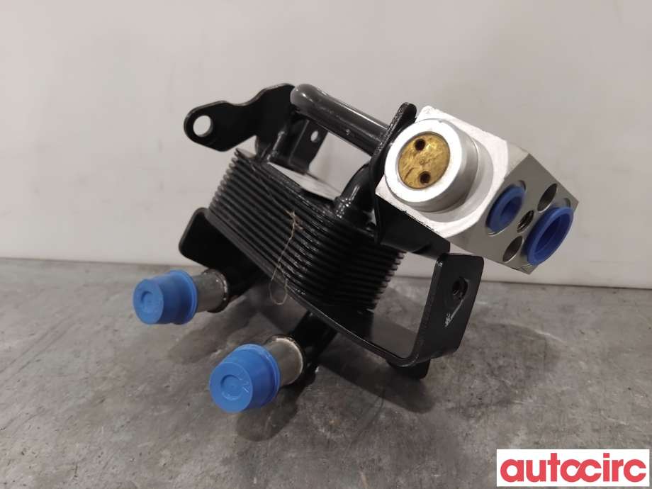Varmeapparat diverse til Fiat 500 2008-2020 (FIAT|68106050AE|)