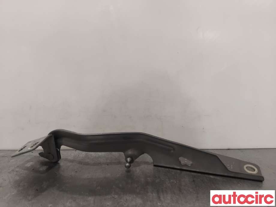 Panserhengsler til Renault Kangoo 2008-2021 (Type II)  (RENAULT|654013136R|A4158800028|654018491R)