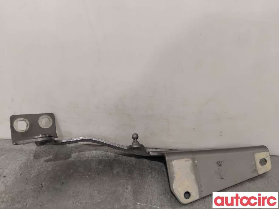 Panserhengsler til Renault Kangoo 2008-2021 (Type II)  (RENAULT|654013136R|A4158800028|654018491R)