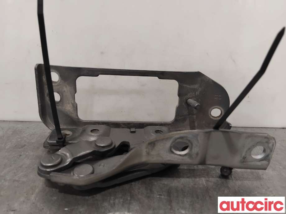 Panserhengsler til Hyundai Santa Fe 2012-2020 (Type III)  (HYUNDAI|791202W000|)