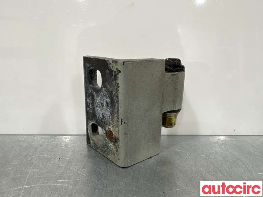 Hengsler til BMW X5 2000-2006 (E53) (E53) (BMW|41518269824|)