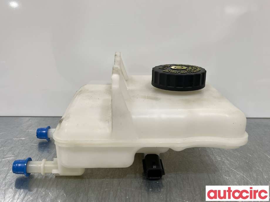 Diverse deler til Renault Zoe 2013-2019 (Fase 1)  (RENAULT|460907290R|0204720866|)