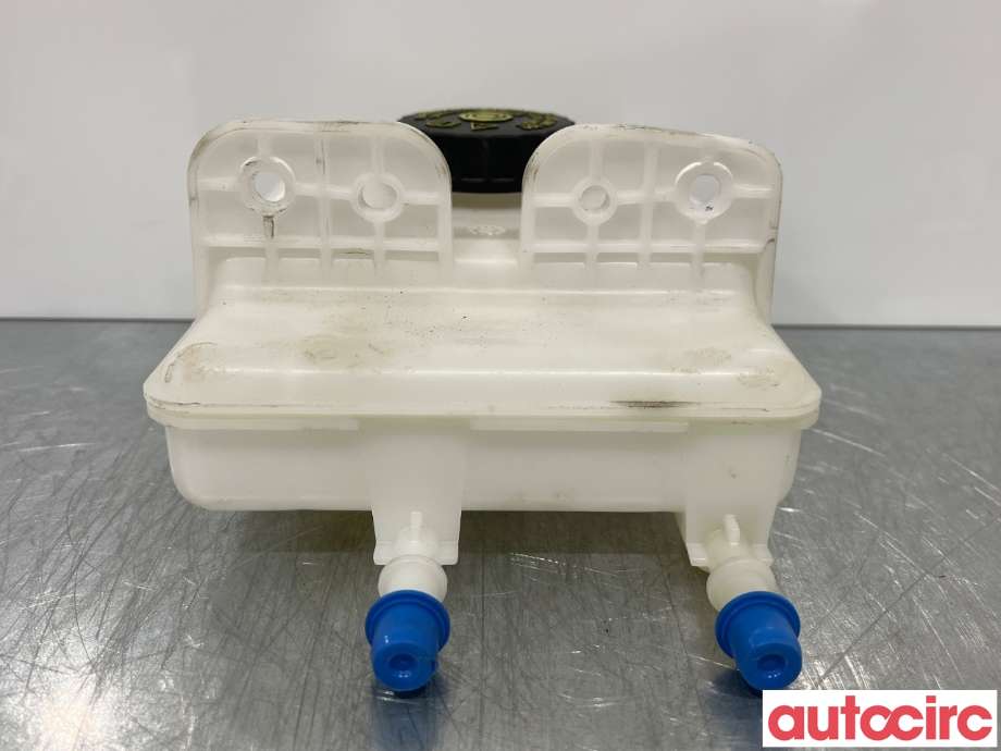 Diverse deler til Renault Zoe 2013-2019 (Fase 1)  (RENAULT|460907290R|0204720866|)