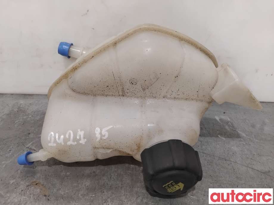 Ekspansjonstank til Nissan Qashqai 2014-2021 (Type II) (NISSAN|217114EA0A|)