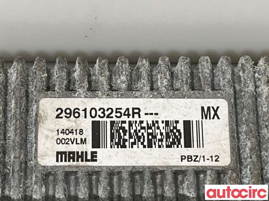 Rele diverse til Renault Zoe 2013-2019 (Fase 1)  (RENAULT|296103254R|PBZ1-12)