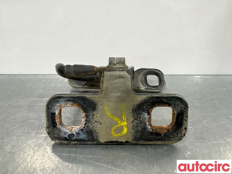 Hengsler til BMW X5 2000-2006 (E53) (E53) (BMW|41627006122|)