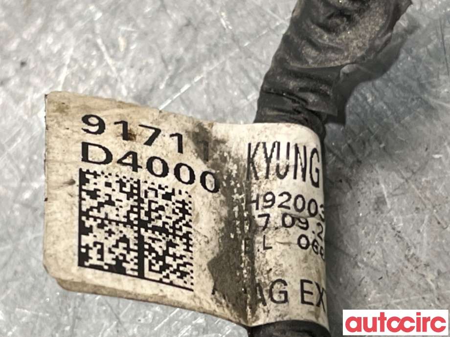 Ledningsnett til Kia Optima 2017-2020  (KIA|91711D4000|)
