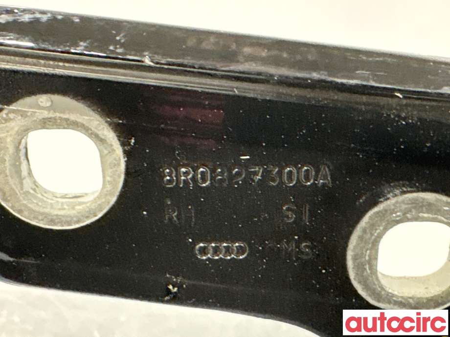 Hengsler til Audi Q5 2008-2012 (Type I, Fase 1)  (AUDI|8R0827300A)