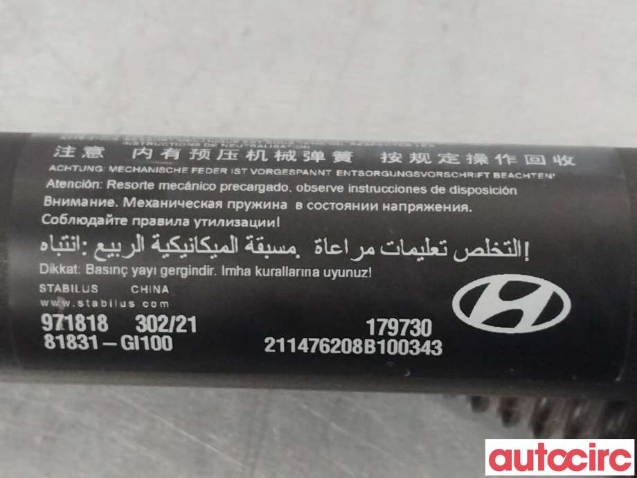 Baklukedemper til Hyundai Ioniq 5 2021-->>  (HYUNDAI|81831GI100)