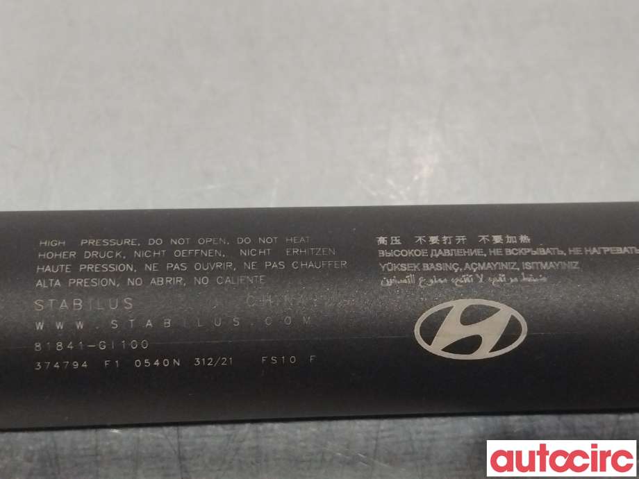 Baklukedemper til Hyundai Ioniq 5 2021-->> (HYUNDAI|81841GI100)