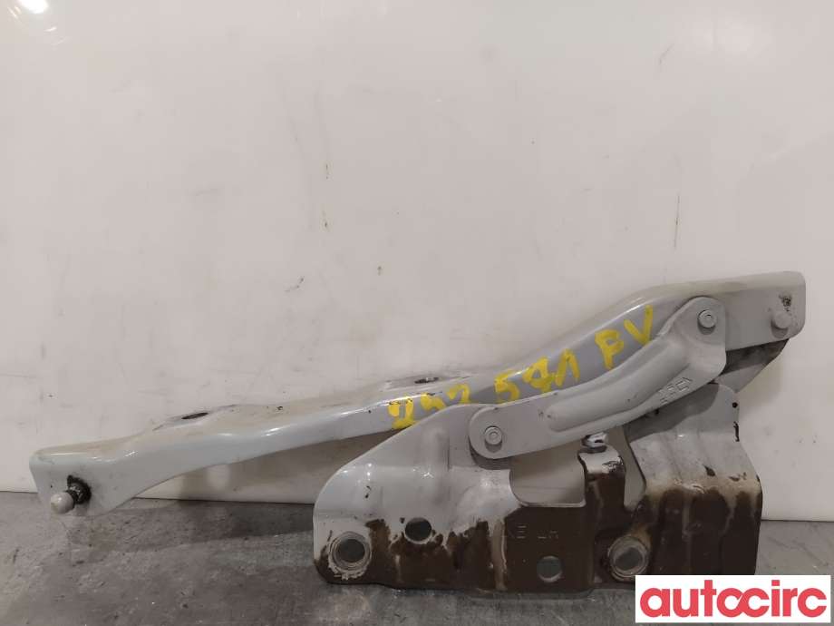 Panserhengsler til Hyundai Ioniq 5 2021-->> (HYUNDAI|66910GI000|)