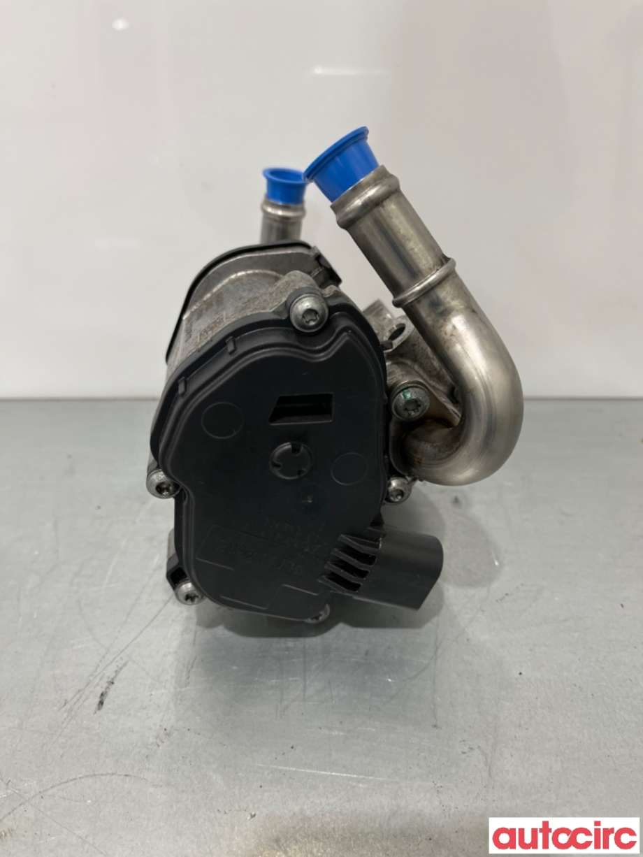 EGR-ventil til VW Tiguan 2016-2020 (Type II, Fase 1)  (VOLKSWAGEN|04L131501R||04L131501AD)