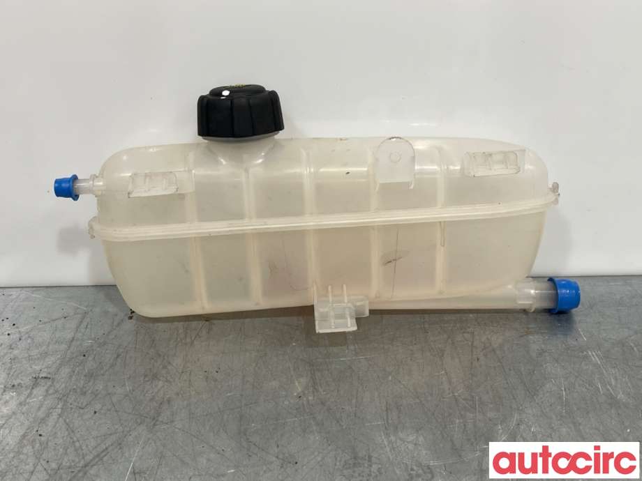 Ekspansjonstank til Renault Zoe, 2013-2019 (Fase 1)  (RENAULT|217104337R)