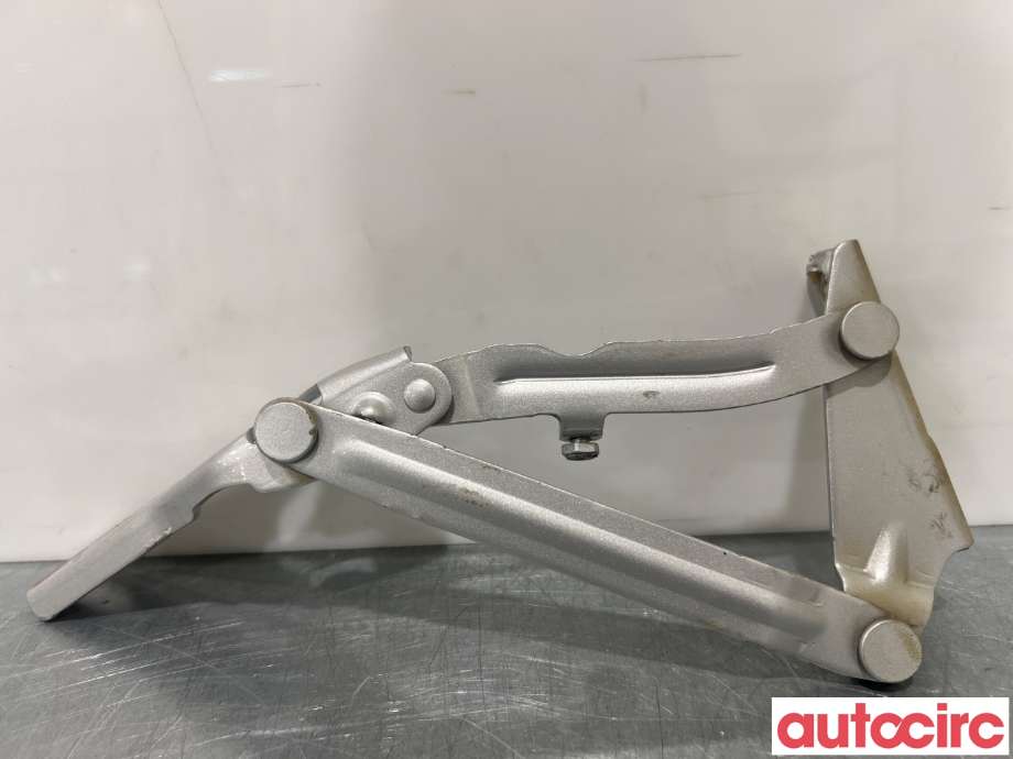 Panserhengsler til VW Crafter 2011-2016 (Type I, Fase 2) (VOLKSWAGEN|2E0823301||9067500021)
