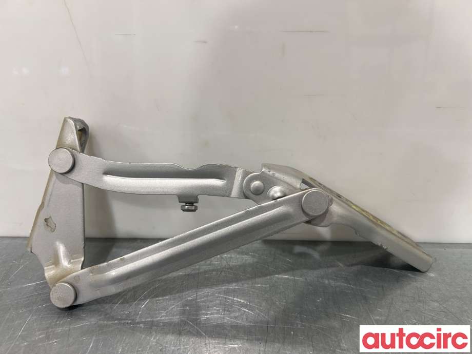 Panserhengsler til VW Crafter 2011-2016 (Type I, Fase 2)  (VOLKSWAGEN|2E0823302||9067500121)