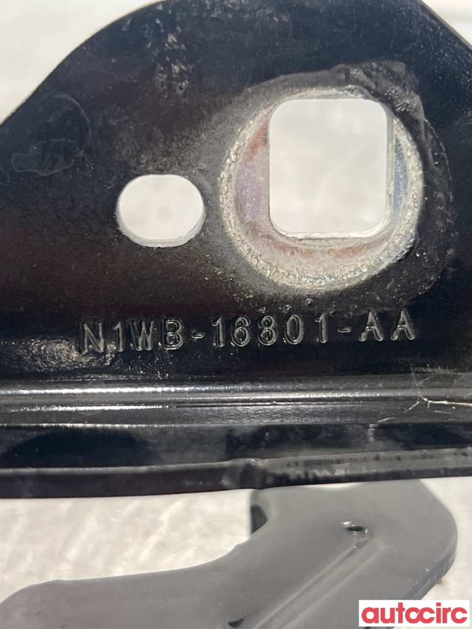 Panserhengsler til Ford Ranger / Ranger Raptor 2015-2022  (FORD|2565067||N1WB-16801-AA)