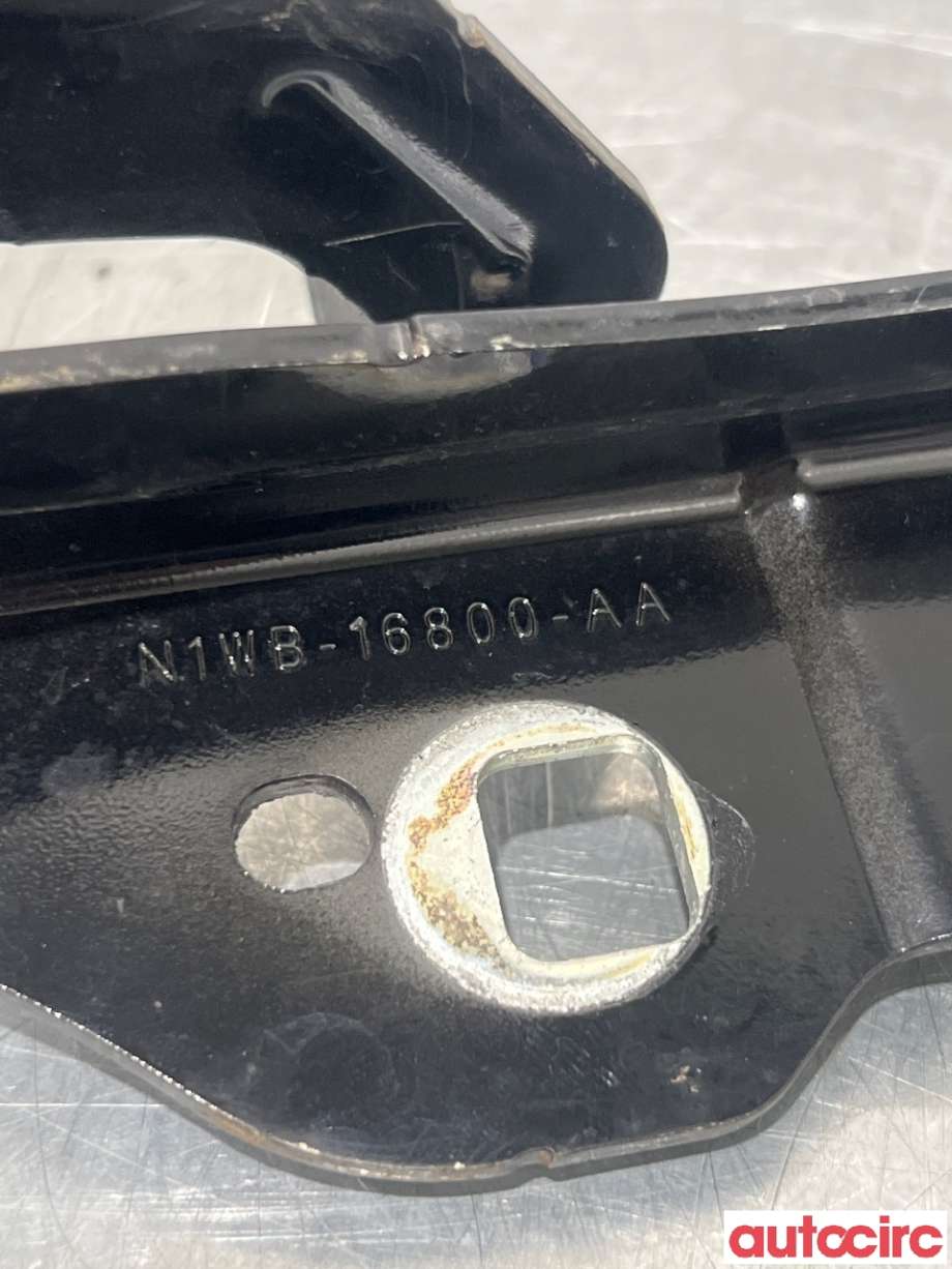 Panserhengsler til Ford Ranger / Ranger Raptor 2015-2022 (FORD|2565064||N1WB-16800-AA)