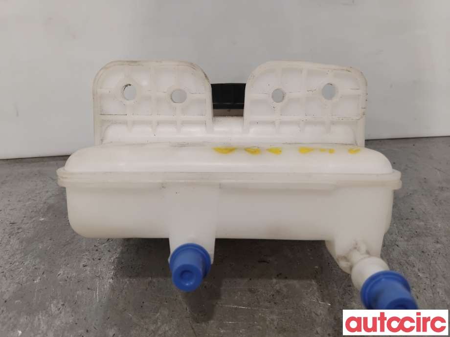 Diverse deler til Renault Zoe 2013-2019 (Fase 1)  (RENAULT|460907290R|0204850986)