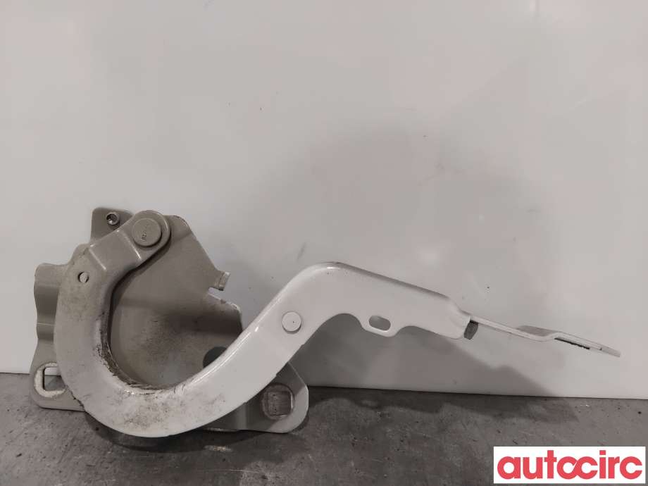 Panserhengsler til Renault Zoe 2013-2019 (Fase 1) (RENAULT|654004793R||654009955R)