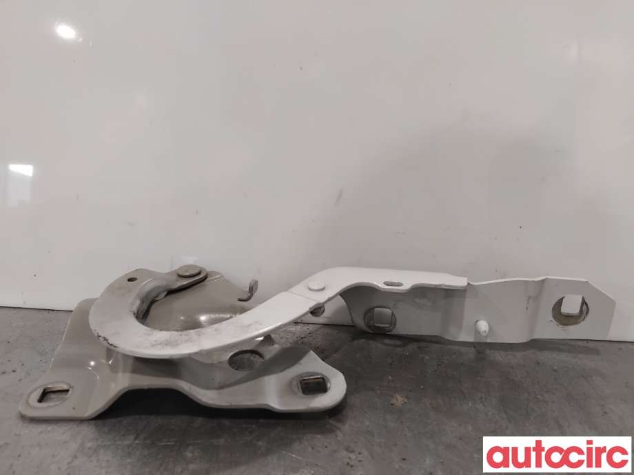 Panserhengsler til Renault Zoe 2013-2019 (Fase 1) (RENAULT|654004793R||654009955R)