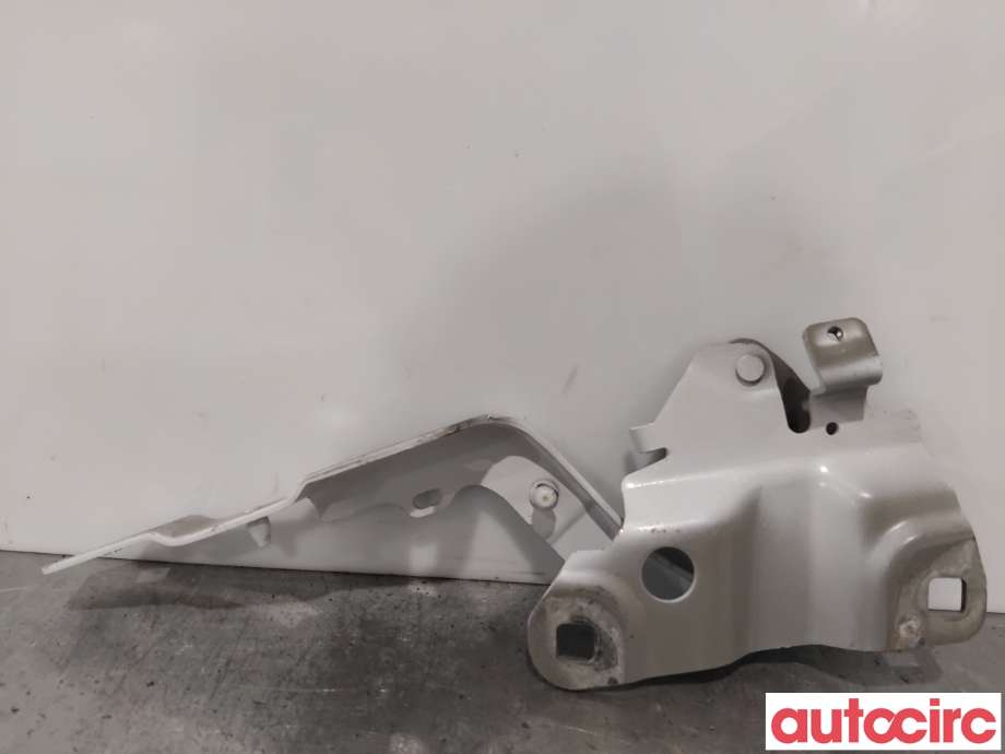 Panserhengsler til Renault Zoe 2013-2019 (Fase 1) (RENAULT|654004793R||654009955R)