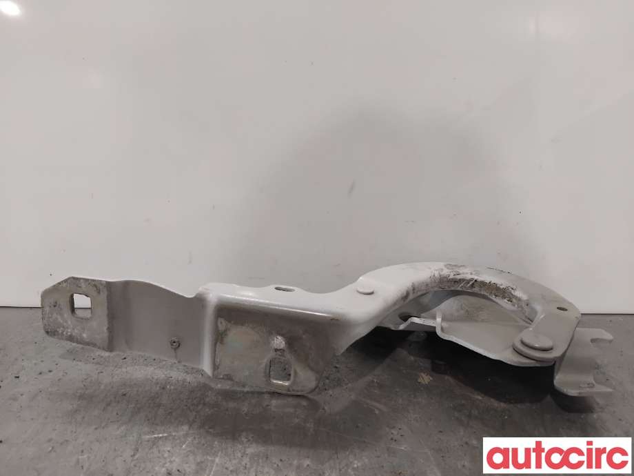 Panserhengsler til Renault Zoe 2013-2019 (Fase 1) (RENAULT|654004793R||654009955R)