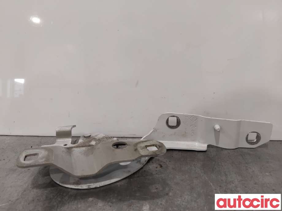 Panserhengsler til Renault Zoe 2013-2019 (Fase 1)  (RENAULT|654015966R||654018609R)