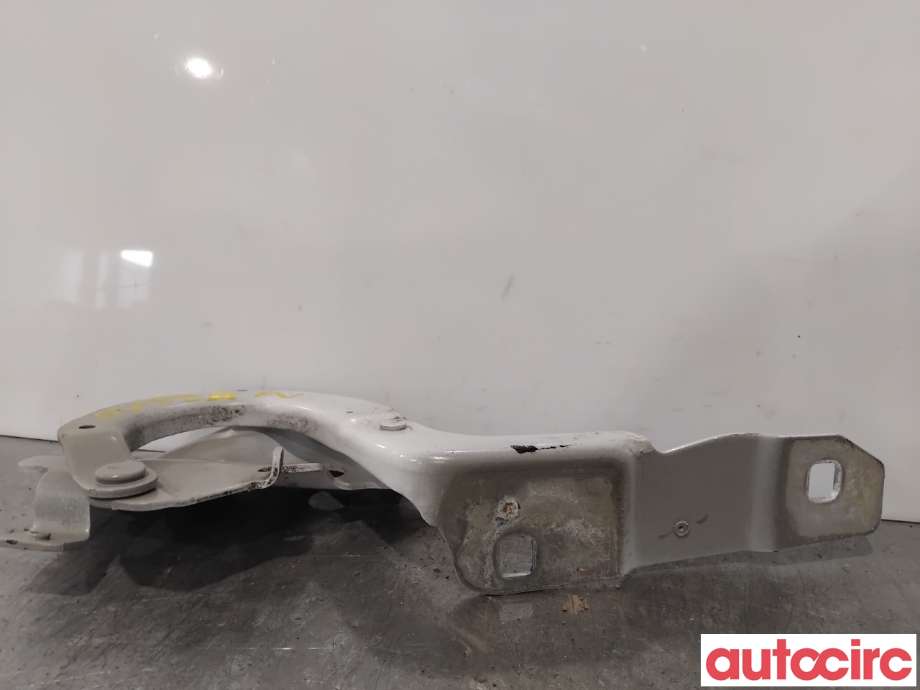 Panserhengsler til Renault Zoe 2013-2019 (Fase 1)  (RENAULT|654015966R||654018609R)