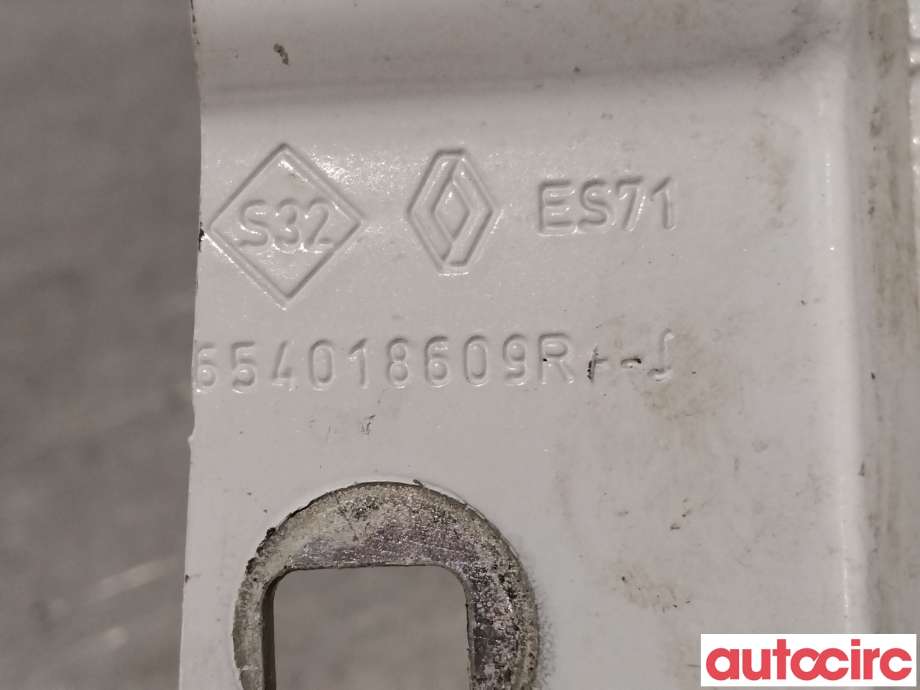 Panserhengsler til Renault Zoe 2013-2019 (Fase 1)  (RENAULT|654015966R||654018609R)
