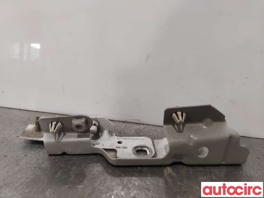 Panserhengsler til Renault Zoe 2013-2019 (Fase 1)  (RENAULT|631439781R||654826564R)