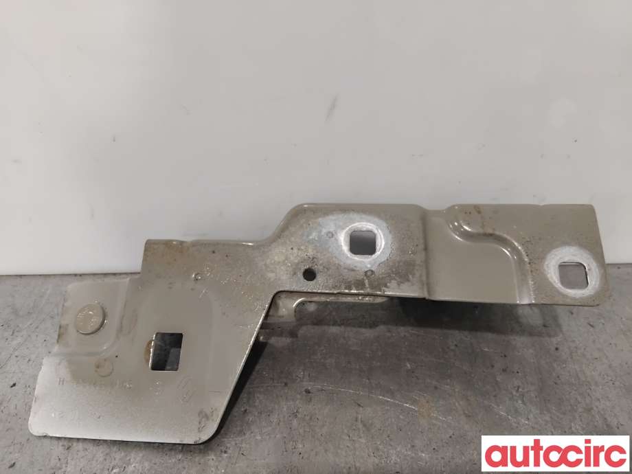 Panserhengsler til Renault Zoe 2013-2019 (Fase 1)  (RENAULT|631439781R||654826564R)