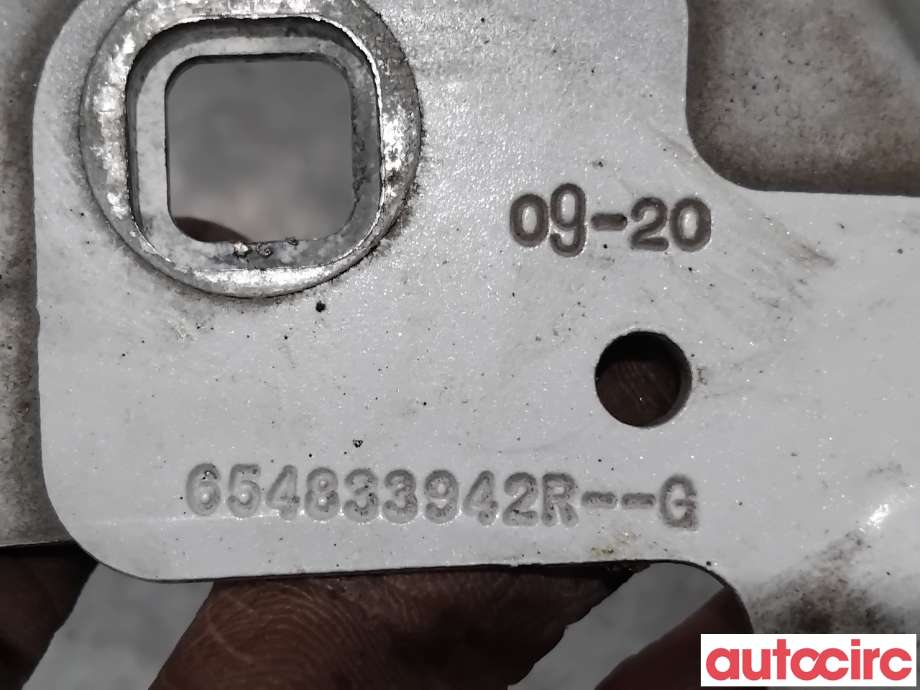 Panserhengsler til Renault Zoe 2013-2019 (Fase 1)  (RENAULT|631439781R||654826564R)