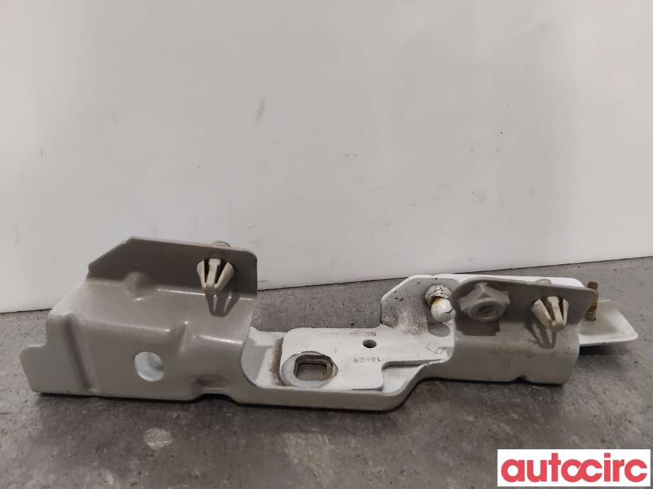 Panserhengsler til Renault Zoe 2013-2019 (Fase 1)  (RENAULT|631420809R||654825654R)