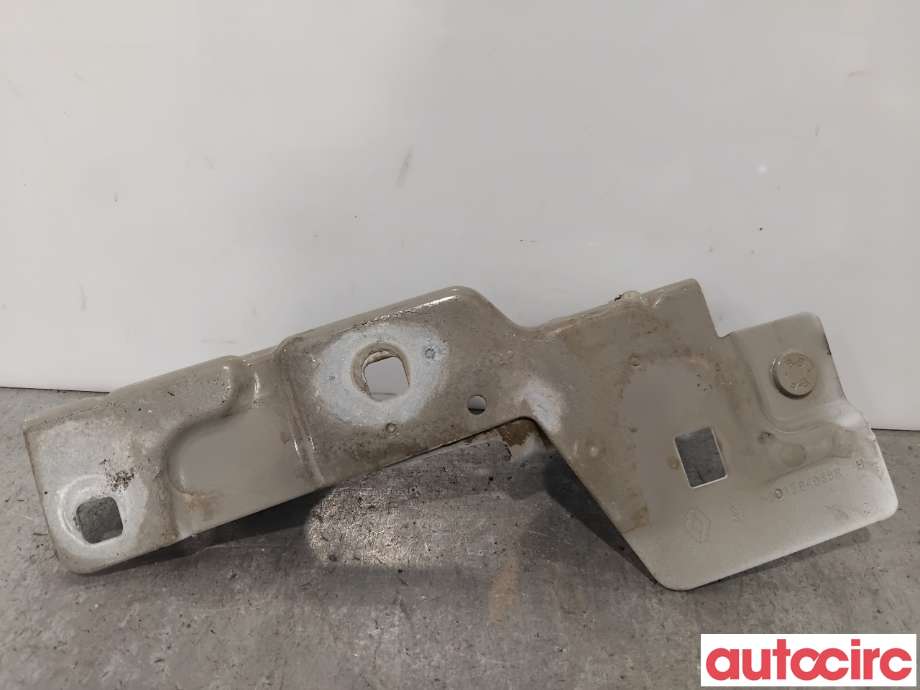 Panserhengsler til Renault Zoe 2013-2019 (Fase 1)  (RENAULT|631420809R||654825654R)