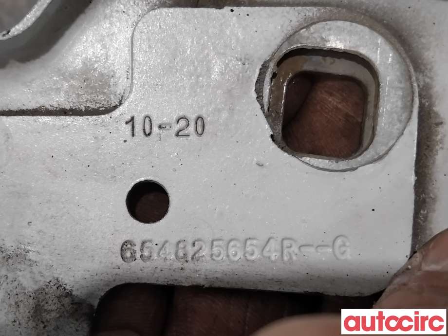 Panserhengsler til Renault Zoe 2013-2019 (Fase 1)  (RENAULT|631420809R||654825654R)