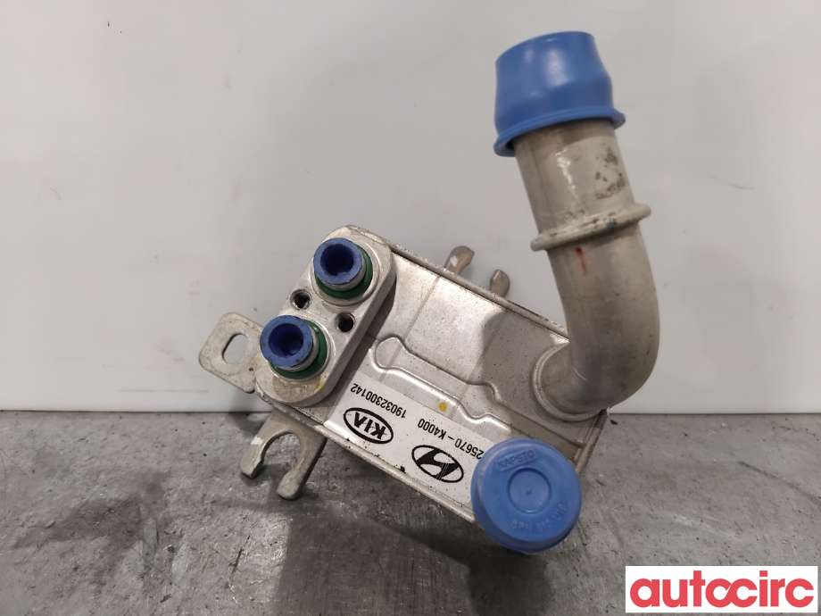 Varmeapparat diverse til Hyundai Kona, 2017-2021 (Type I, Fase 1)  (HYUNDAI|25670K4000)