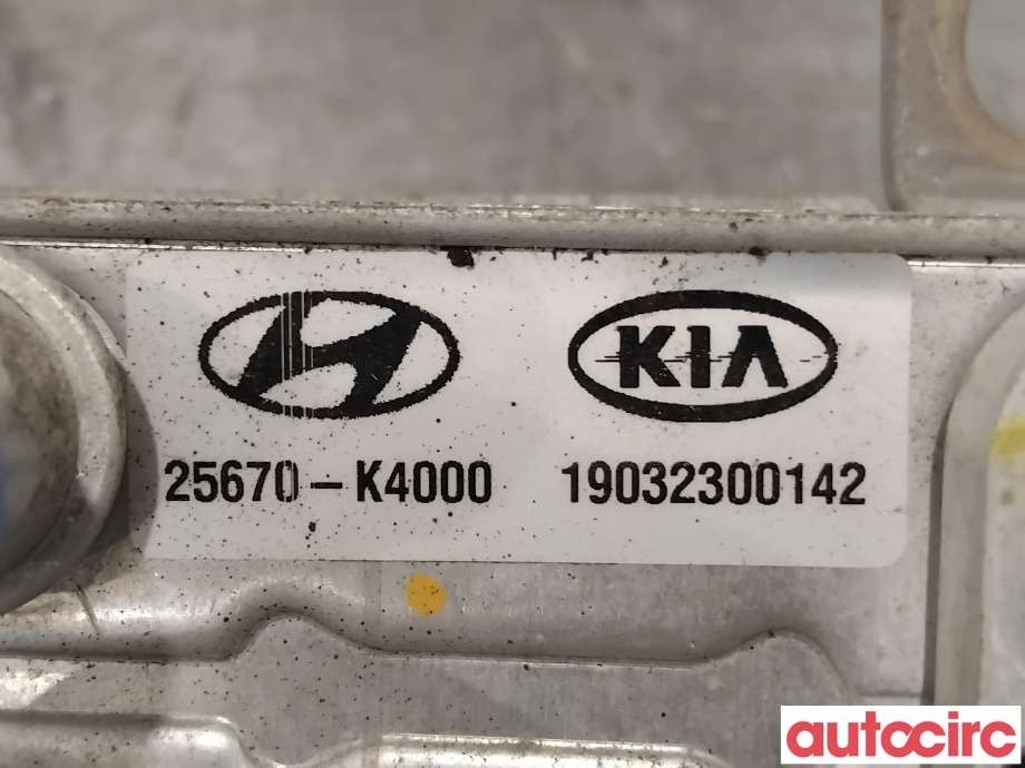 Varmeapparat diverse til Hyundai Kona 2017-2021 (Type I, Fase 1)  (HYUNDAI|25670K4000||25670-K4000)