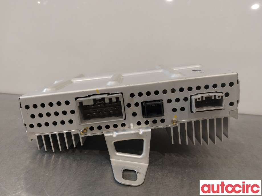 Bilstereo forsterker til Tesla Model Y 2021-2024 (Type I)  (TESLA|1507152-01-B)