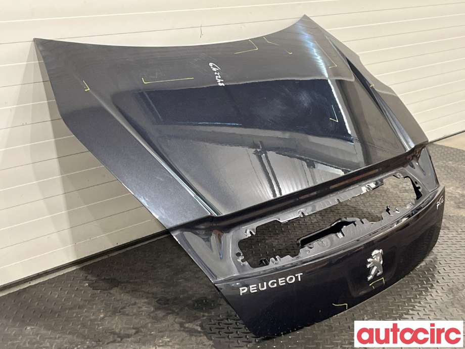 Bakluke combi til Peugeot RCZ 2010-2015  (PEUGEOT|1607016080)