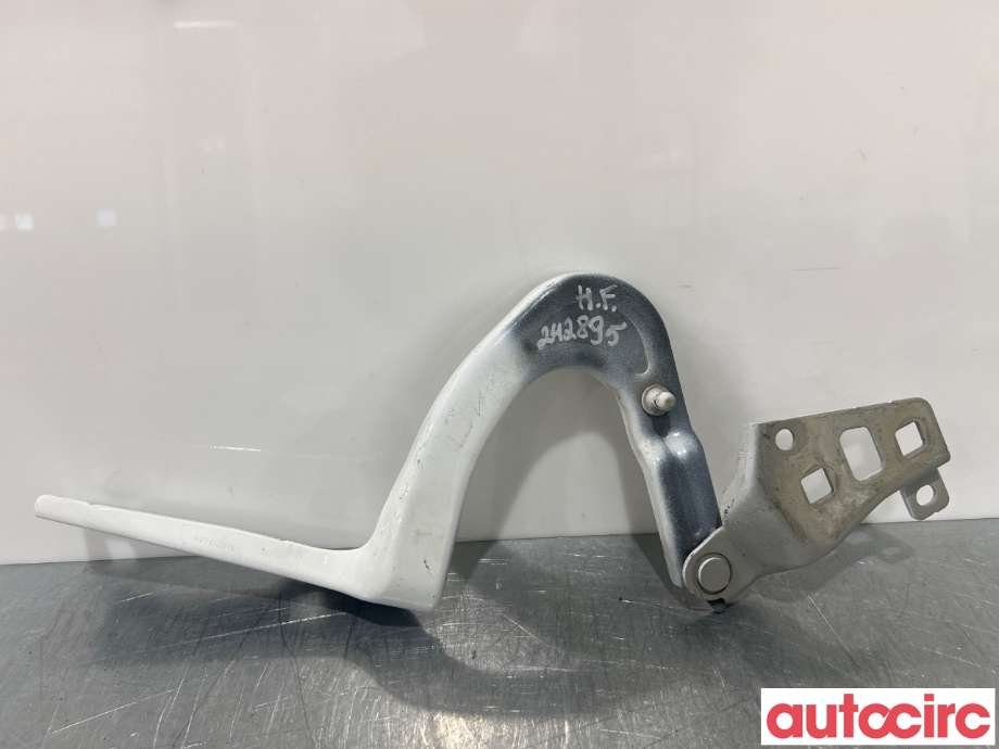 Panserhengsler til Tesla Model Y 2021-2024 (Type I) (TESLA|1496268-00-C|)