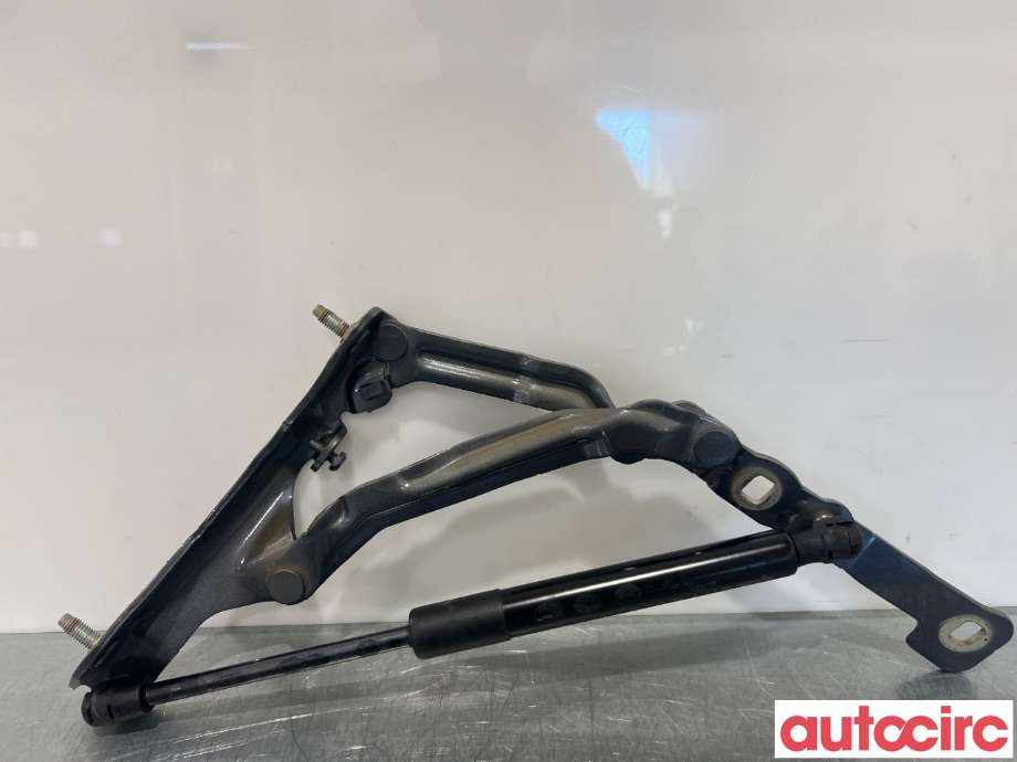 Hengsler til Tesla Model 3, 2018-2023 (Fase 1)  (TESLA|1551481-00-D)