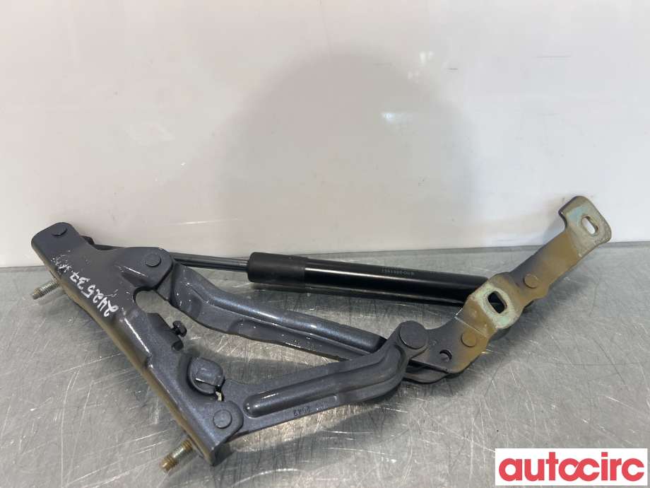Hengsler til Tesla Model 3 2018-2023 (Fase 1)  (TESLA|1551481-00-D|)